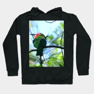 A SPLASH OF RED BEARDED BEE EATER Hoodie